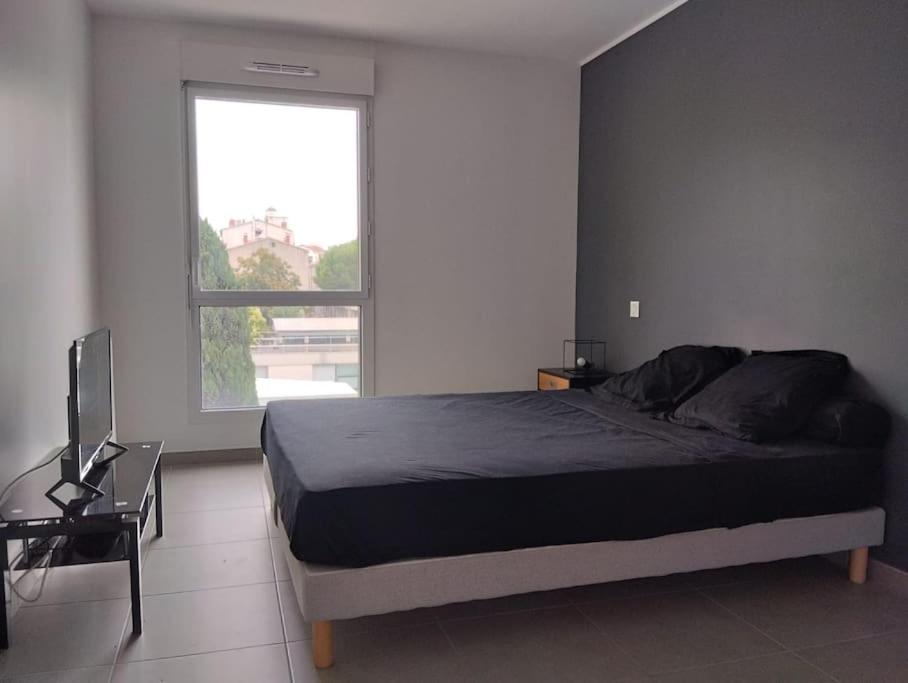 Appartement T3 Gare St Rock مونبيلييه المظهر الخارجي الصورة