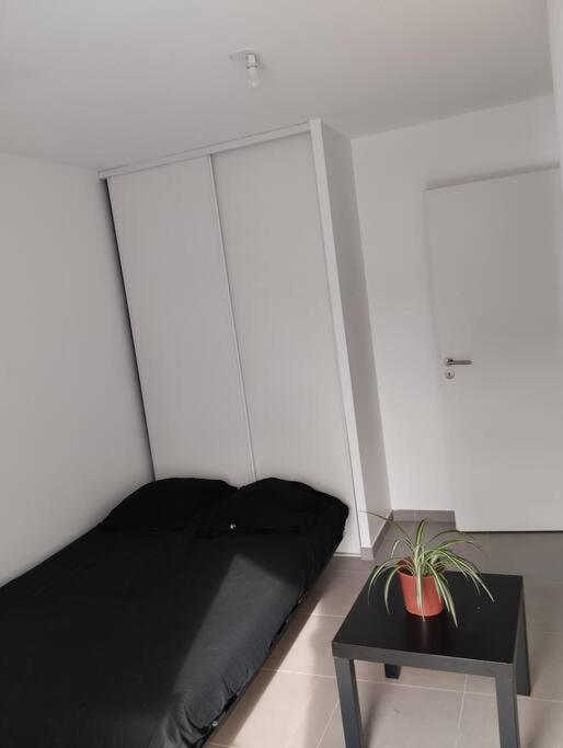 Appartement T3 Gare St Rock مونبيلييه المظهر الخارجي الصورة